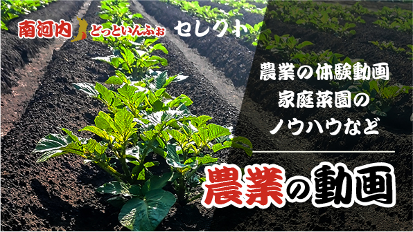 農業の動画