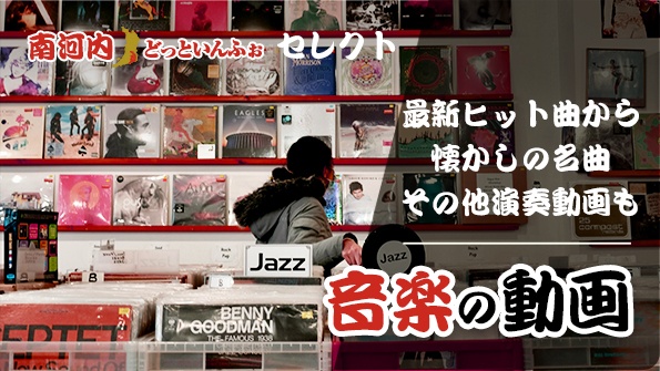 音楽の動画