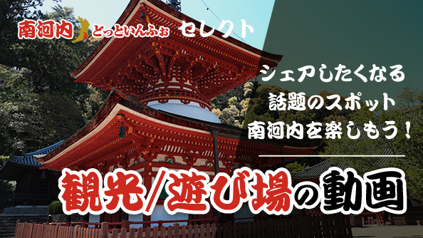 観光/遊び場の動画