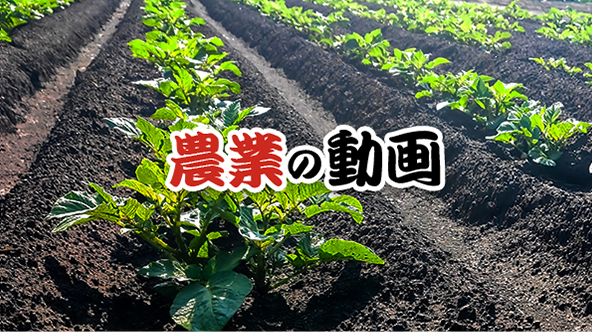 農業