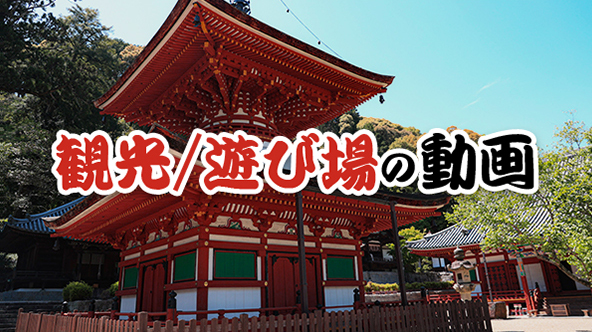 観光/遊び場